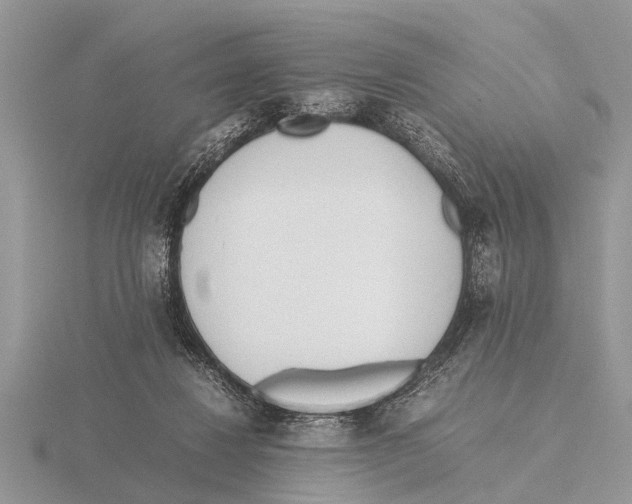 X0000115740260200912101321