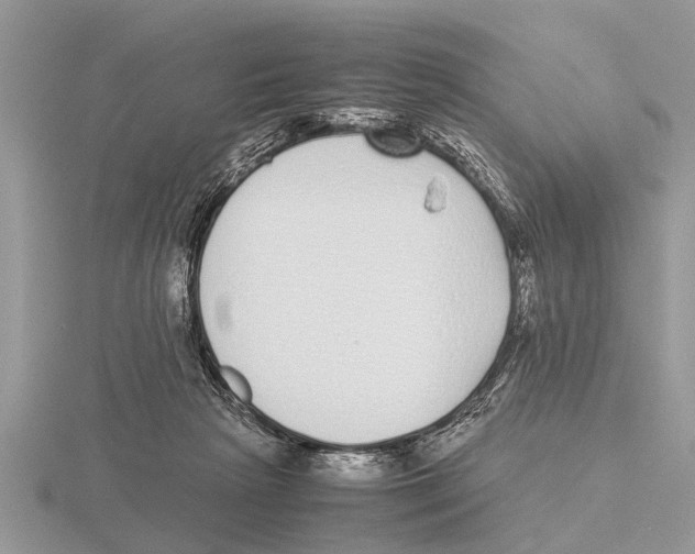 X0000115740265200912101321