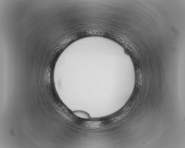 X0000115740266200912101321