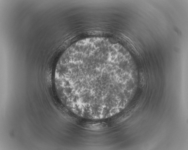 X0000115740267200912101321