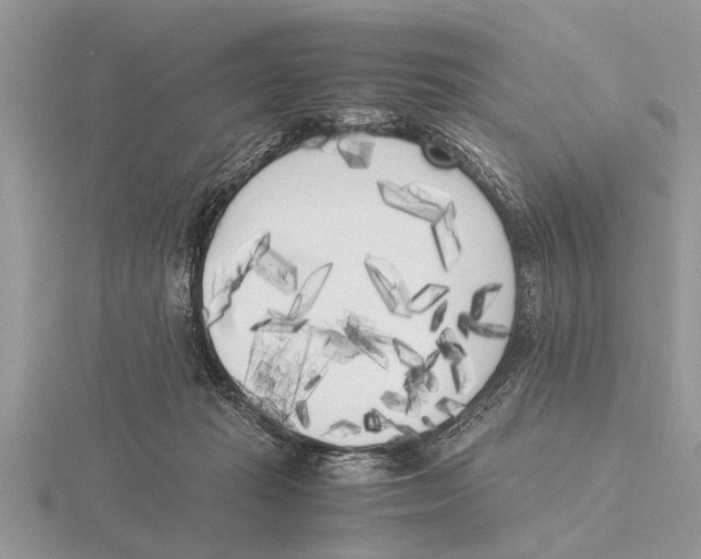 X0000115740269200912101321