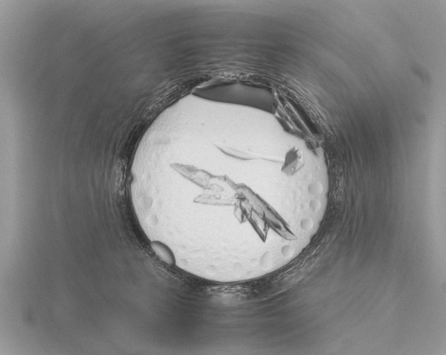 X0000115740273200912101321