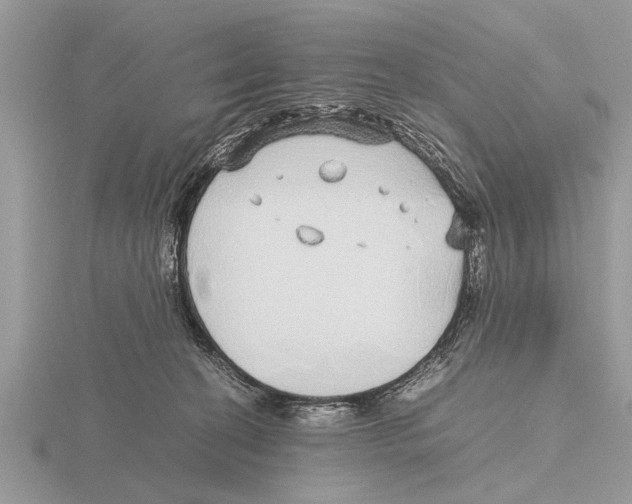 X0000115740274200912101321