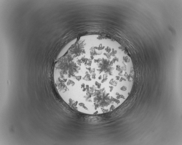 X0000115740277200912101321