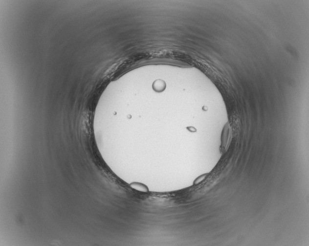 X0000115740280200912101321