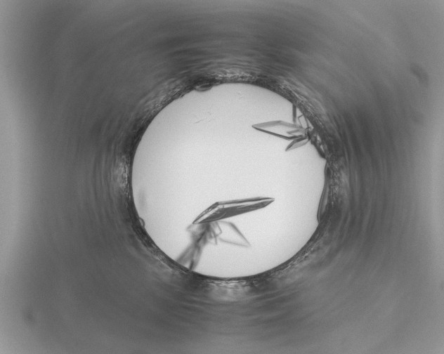 X0000115740281200912101321