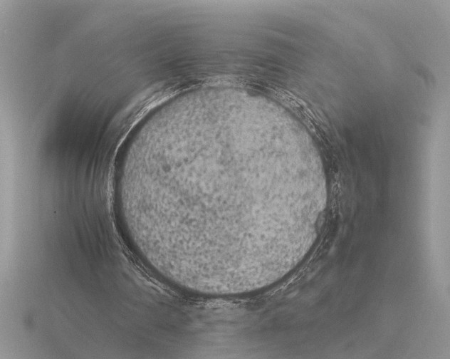 X0000115740290200912101321