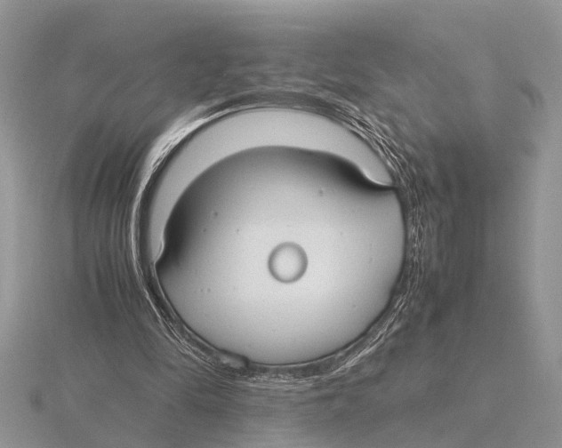 X0000115740294200912101320