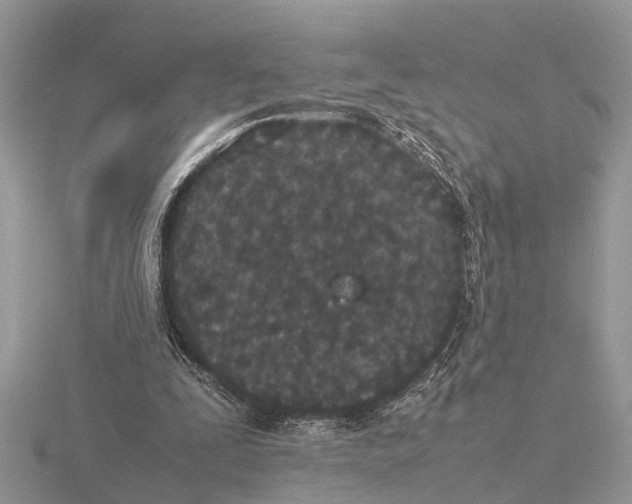 X0000115740295200912101320