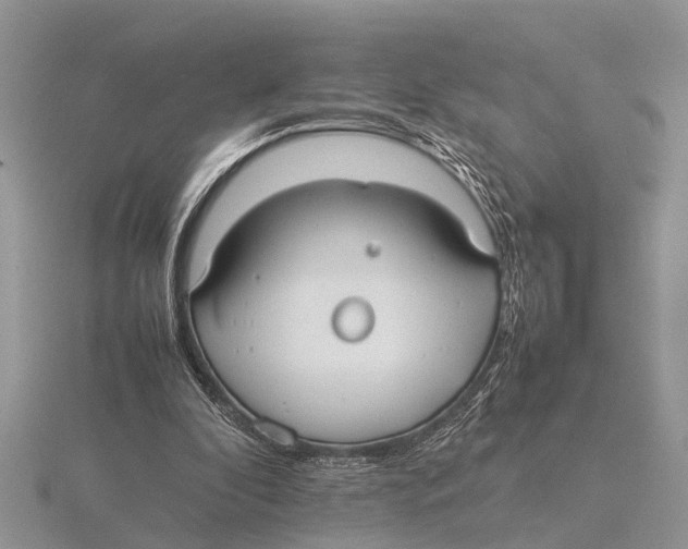 X0000115740296200912101320