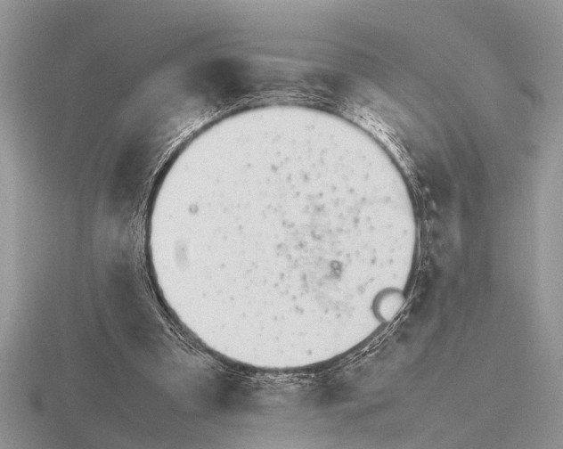 X0000115740297200912101320