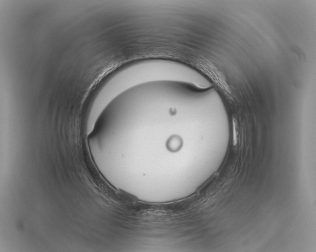 X0000115740300200912101320