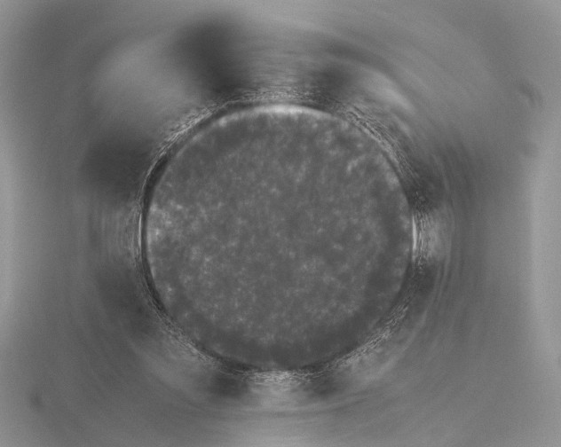 X0000115740301200912101320