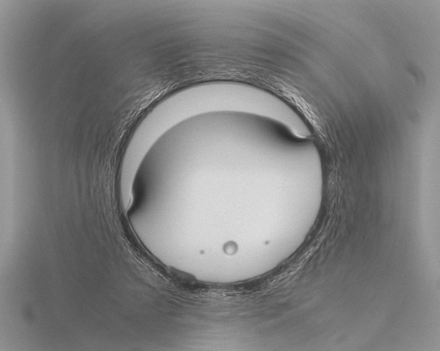 X0000115740305200912101320