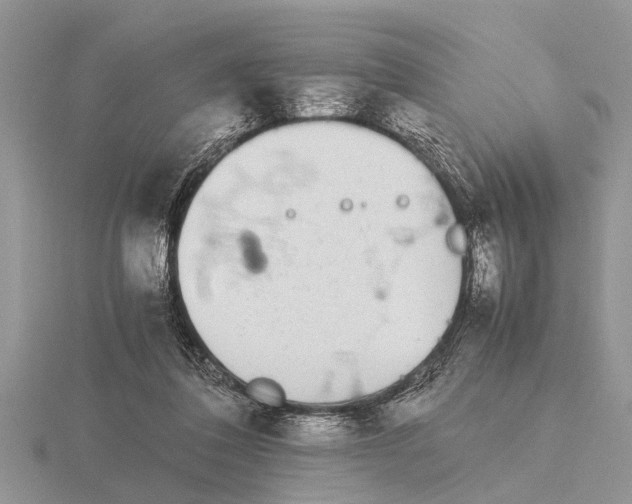 X0000115740308200912101320