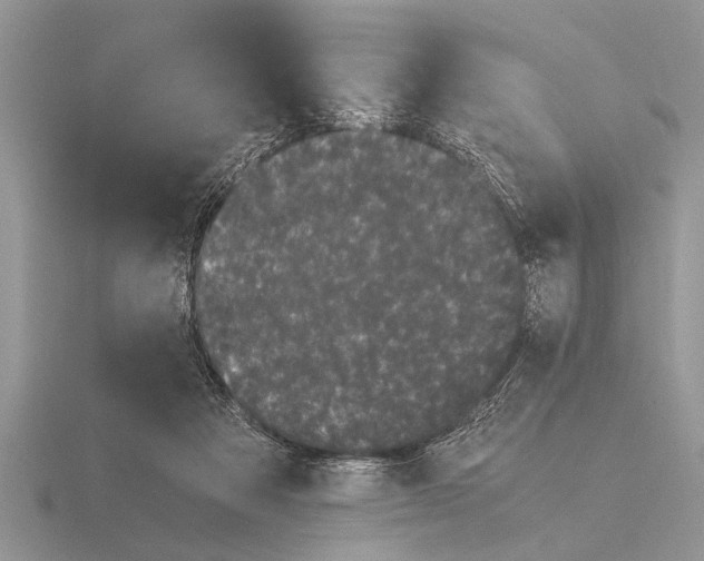 X0000115740313200912101320