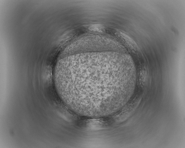 X0000115740320200912101320