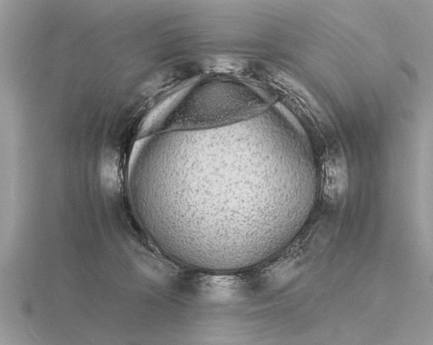 X0000115740324200912101320