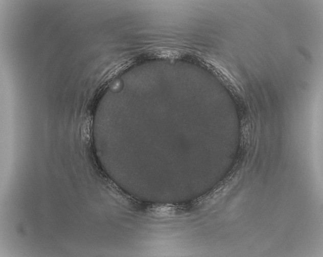 X0000115740325200912101320