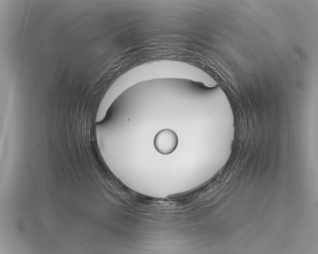 X0000115740328200912101320