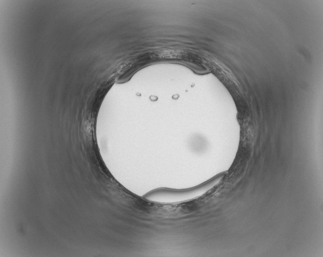 X0000115740329200912101320