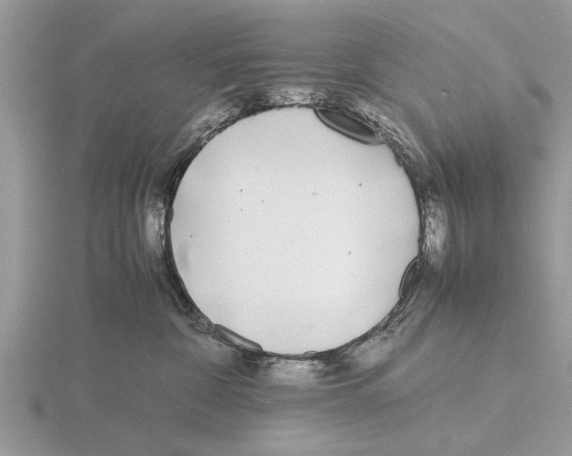 X0000115740332200912101320