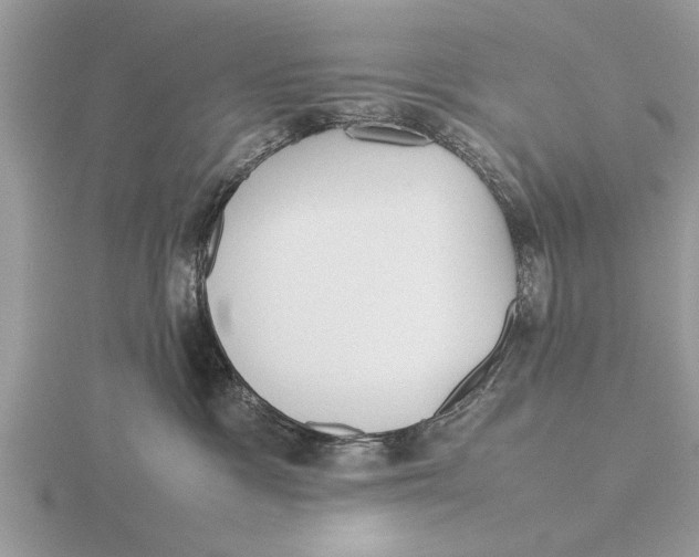 X0000115740333200912101320