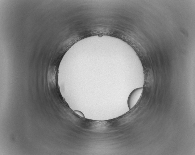 X0000115740334200912101320