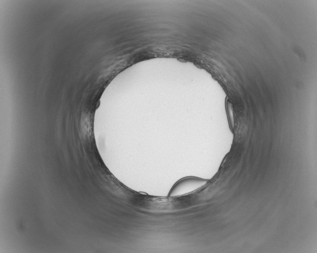 X0000115740335200912101320