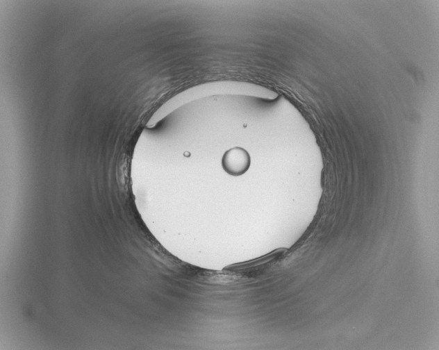 X0000115740336200912101320