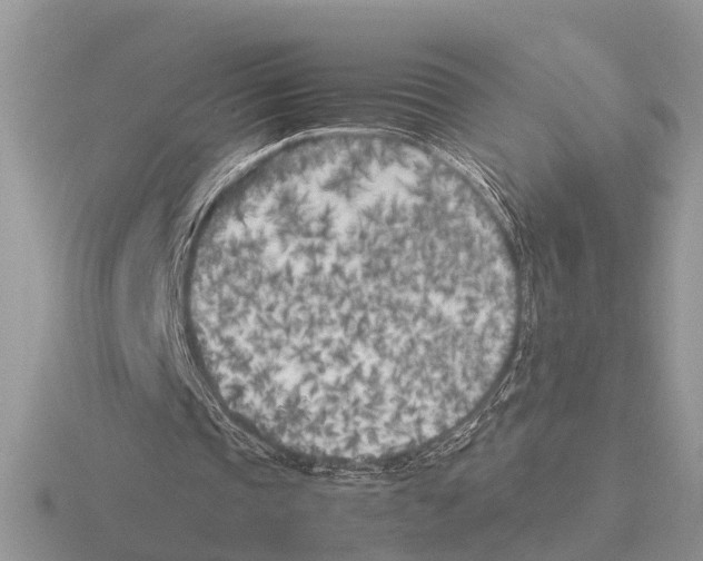 X0000115740337200912101319