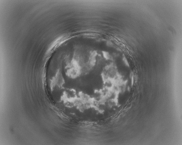 X0000115740339200912101319