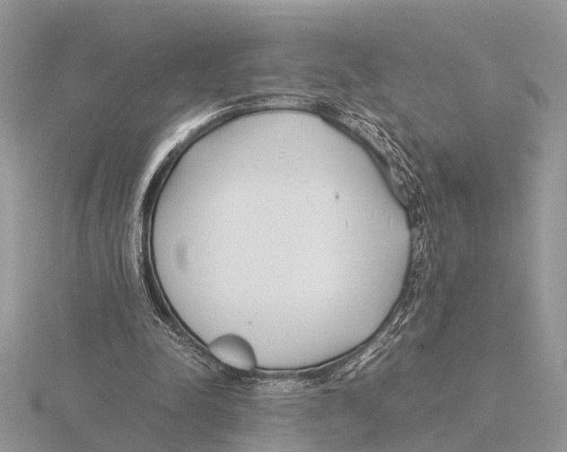 X0000115740342200912101319