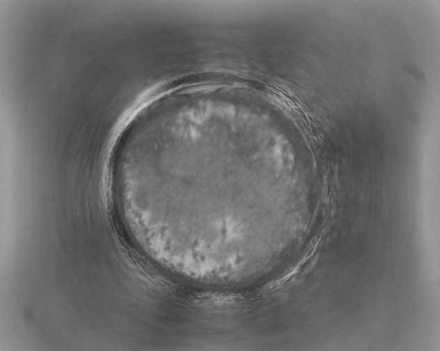 X0000115740343200912101319