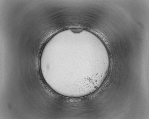 X0000115740345200912101319