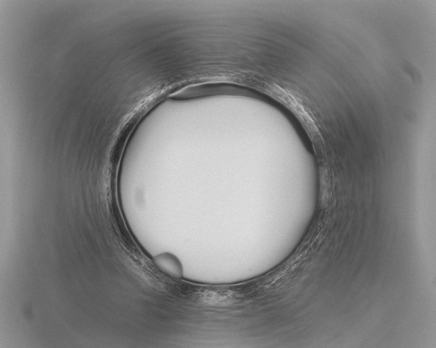 X0000115740346200912101319