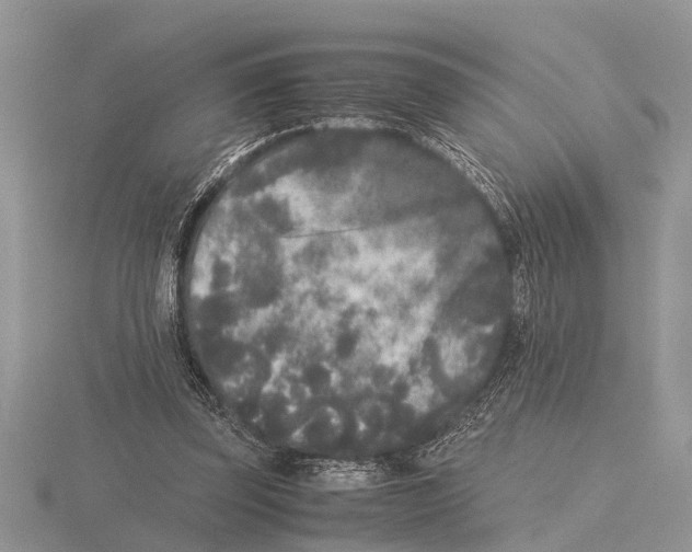 X0000115740347200912101319