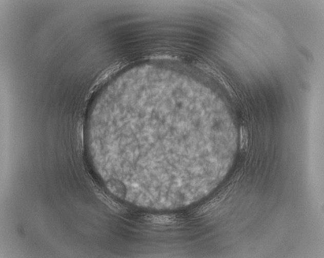 X0000115740349200912101319