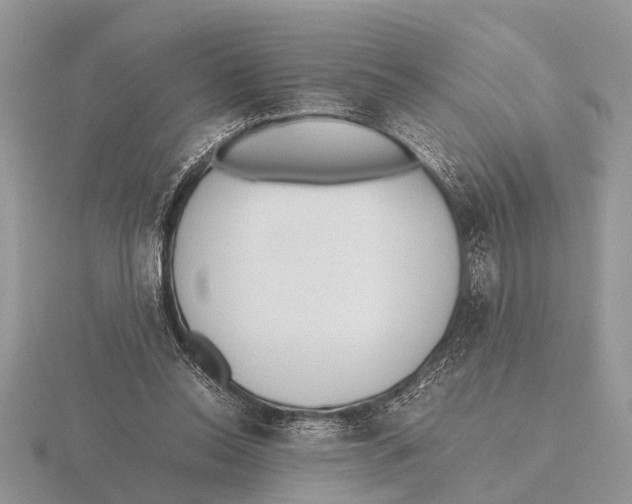 X0000115740350200912101319