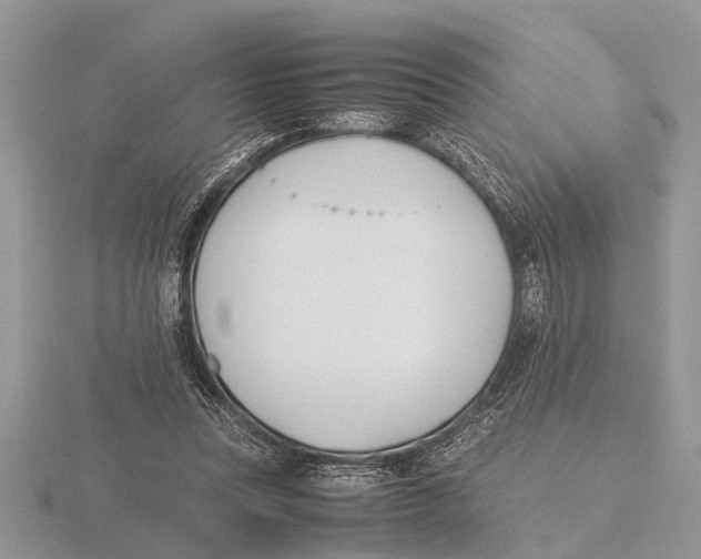 X0000115740351200912101319