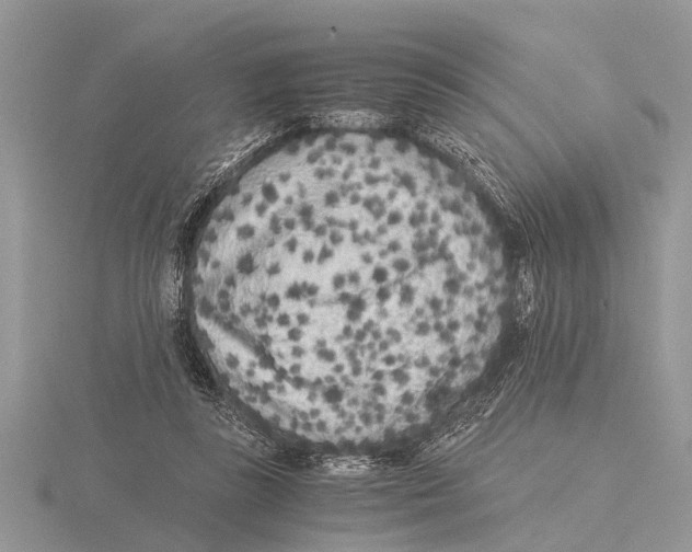 X0000115740355200912101319