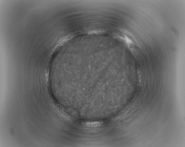 X0000115740357200912101319