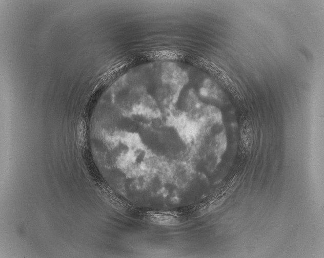 X0000115740359200912101319