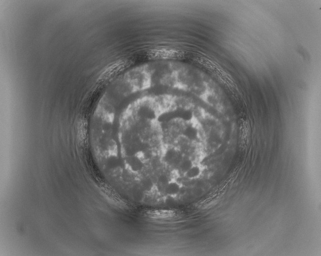 X0000115740361200912101319