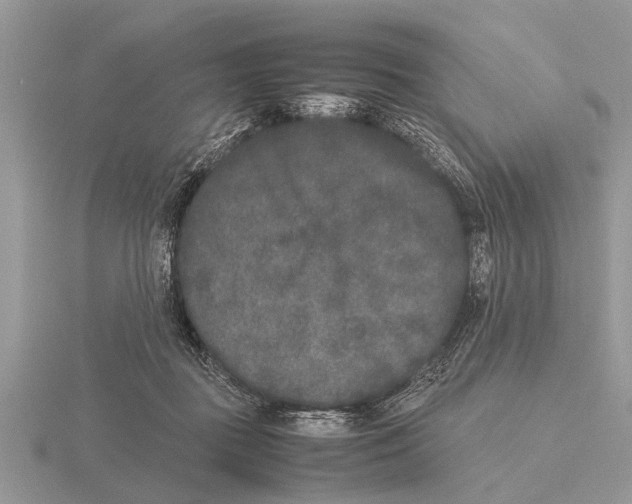 X0000115740363200912101320