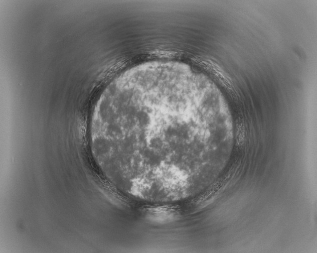 X0000115740365200912101320