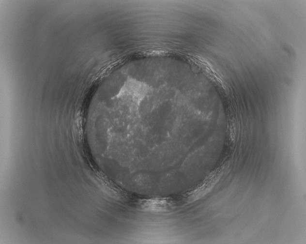 X0000115740366200912101320