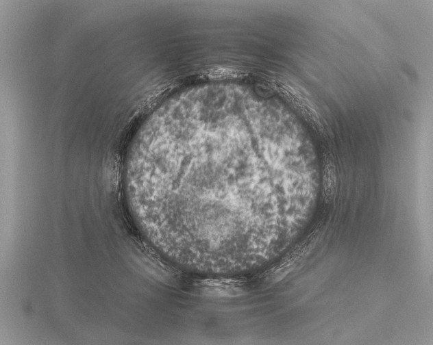 X0000115740367200912101320