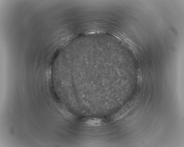 X0000115740369200912101320