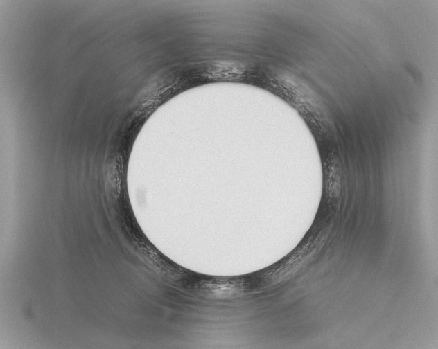 X0000115740370200912101320